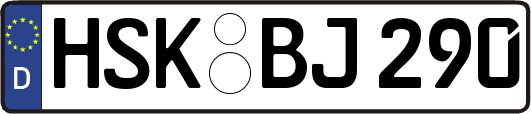HSK-BJ290