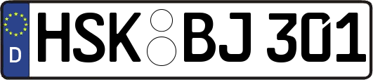 HSK-BJ301