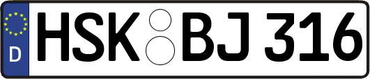 HSK-BJ316