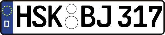 HSK-BJ317