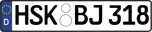 HSK-BJ318