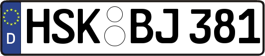 HSK-BJ381