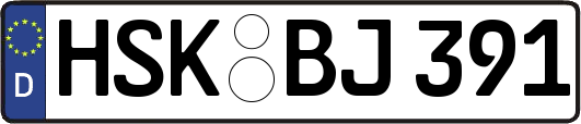HSK-BJ391