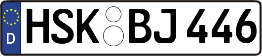 HSK-BJ446