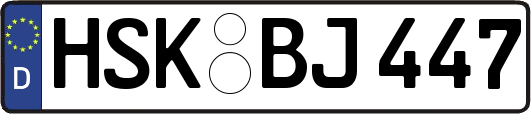 HSK-BJ447