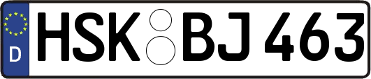 HSK-BJ463