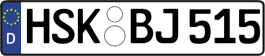 HSK-BJ515