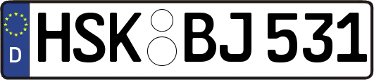 HSK-BJ531