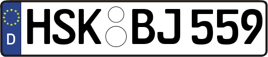 HSK-BJ559