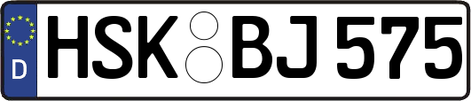 HSK-BJ575