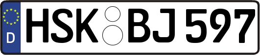 HSK-BJ597