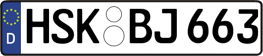 HSK-BJ663