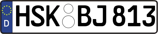 HSK-BJ813