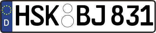 HSK-BJ831