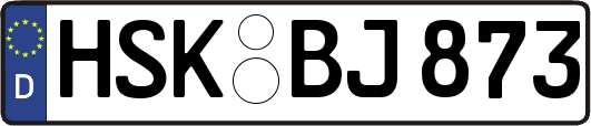 HSK-BJ873