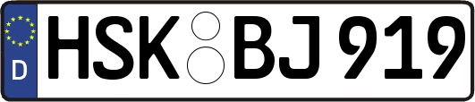 HSK-BJ919