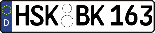 HSK-BK163