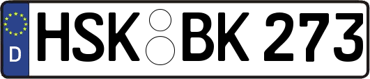 HSK-BK273