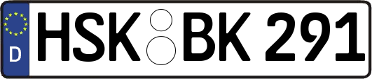HSK-BK291