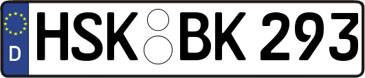 HSK-BK293