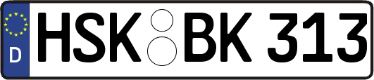 HSK-BK313