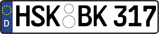 HSK-BK317
