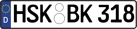 HSK-BK318