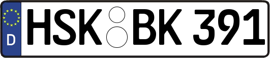 HSK-BK391