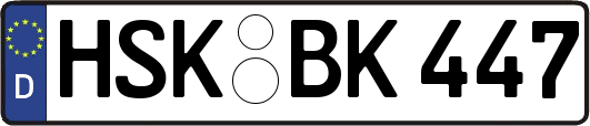 HSK-BK447