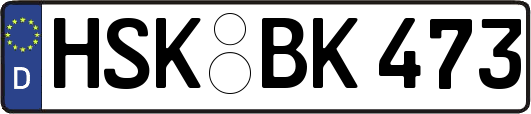 HSK-BK473