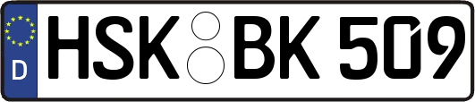 HSK-BK509