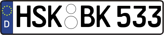 HSK-BK533