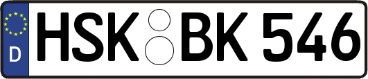 HSK-BK546