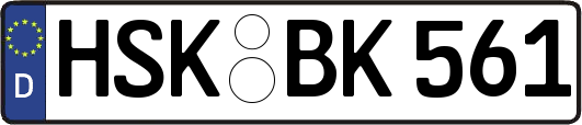 HSK-BK561