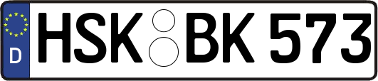 HSK-BK573