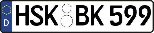 HSK-BK599