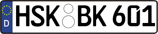 HSK-BK601