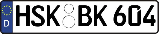 HSK-BK604