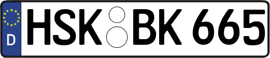 HSK-BK665