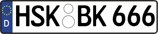HSK-BK666