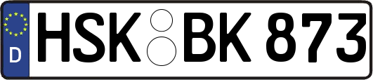 HSK-BK873