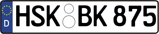 HSK-BK875