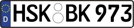 HSK-BK973