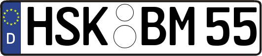 HSK-BM55
