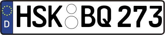 HSK-BQ273