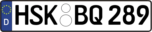 HSK-BQ289