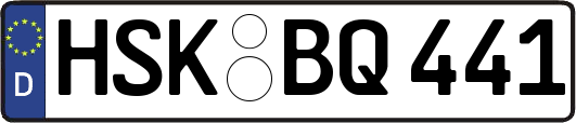 HSK-BQ441