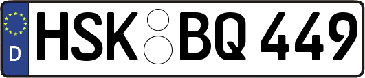 HSK-BQ449