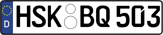 HSK-BQ503
