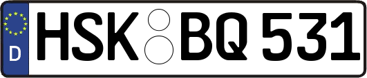 HSK-BQ531